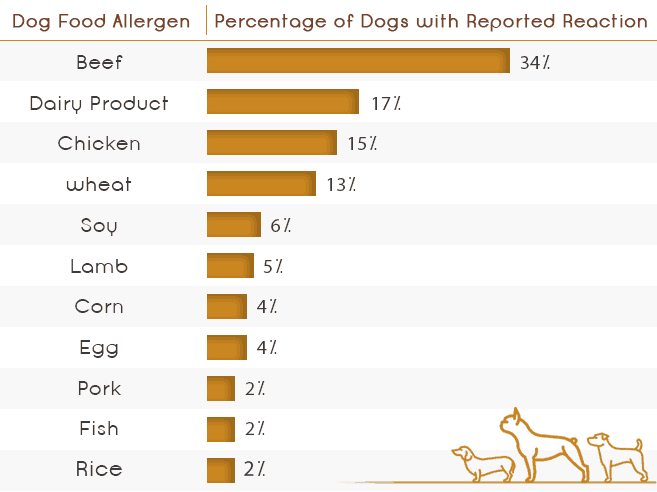 dogsee table